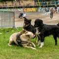 ZIY05824-wm.jpg