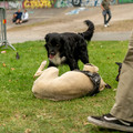ZIY05829-wm.jpg