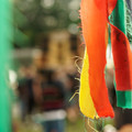 ZIY05875-wm.jpg