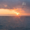 ZIY04144.jpg